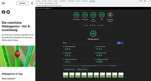 Screenshot vom Website Test Ergebnis