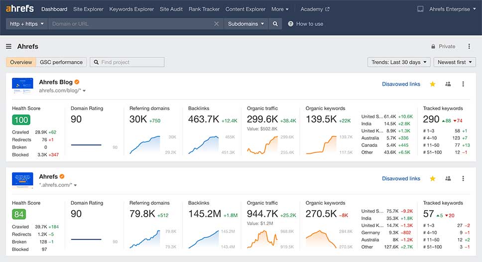 Screenshot of Ahrefs SEO Dashboard